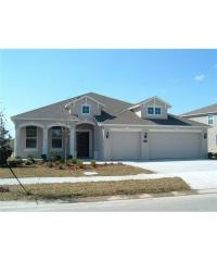 10843 Breaking Rocks Dr, Tampa FL  33647-3585 exterior