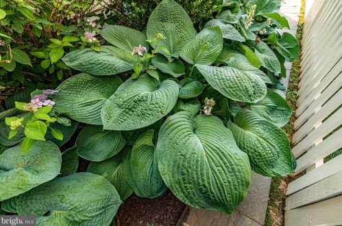 213 Creek Valley Ln, Rockville MD  20850-5603 exterior