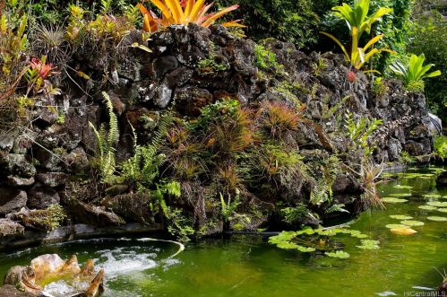 3415 Kaohinani Dr, Honolulu HI 96817-1040 exterior