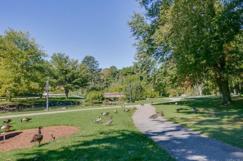 17 Hopkins Ln, Armonk NY 10504-1363 exterior