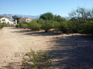 8180 Seneca St, Tucson AZ  85715-6834 exterior