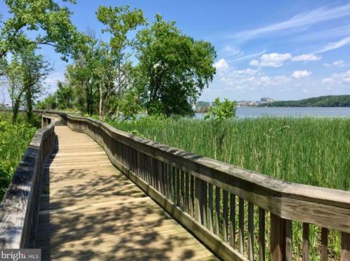 6524 10th St, Alexandria VA  22307-6501 exterior