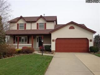 3280 Saint Andrews Dr, Cleveland, OH 44134-5878