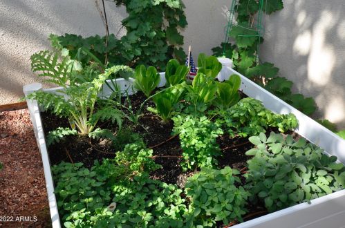 2989 44th St, Phoenix AZ  00000-7203 exterior