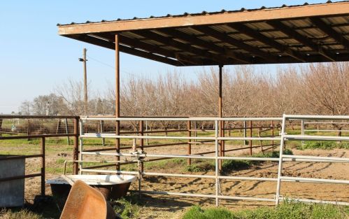 2007 Glenwood Ave, Turlock CA 95380-6237 exterior