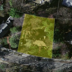 21 Fox Ln, Newton MA 02459-3023 aerial view