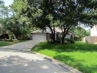 3 Painted Sunset, Spring TX  77380-4210 exterior