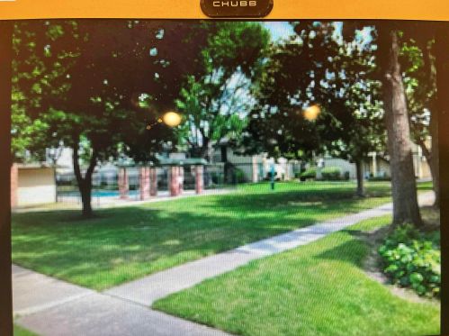 1133 Meadow Ln, Concord CA  94520-3766 exterior