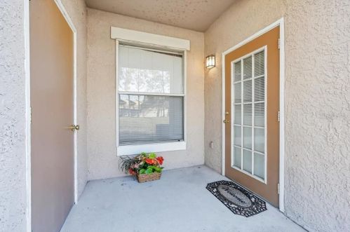 17932 Villa Creek Dr, Tampa FL 33647-2579 exterior