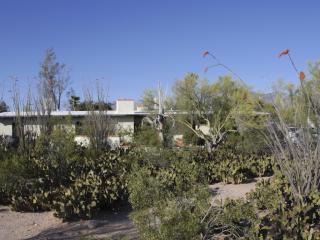 105 Canyon View Dr, Tucson, AZ 85704-5901