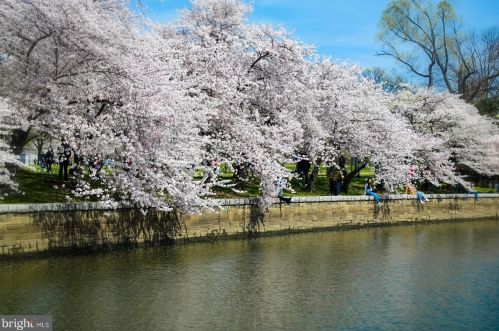 300 M St, Washington DC  20024-4019 exterior