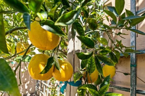 637 Morado Pl, Oxnard CA 93030 exterior