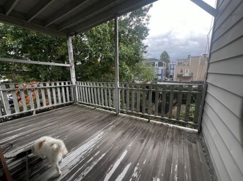 885 Broadway, Boston MA 02127-2322 exterior