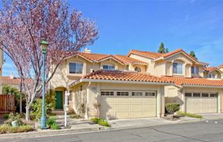 275 Meadowhaven Way, Milpitas, CA 95035-4453