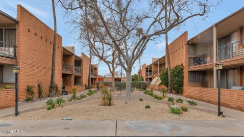 5246 20th St, Phoenix AZ  85016-3349 exterior