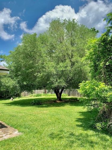 3281 Old Houston Rd, Huntsville TX 77340-7123 exterior