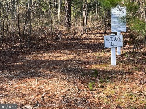 7968 Pond Haven Ct, Saint Michaels MD 21663-2718 exterior