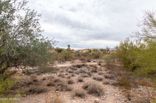 9558 Marsh Wren Pl, Tucson AZ 85742-8455 exterior