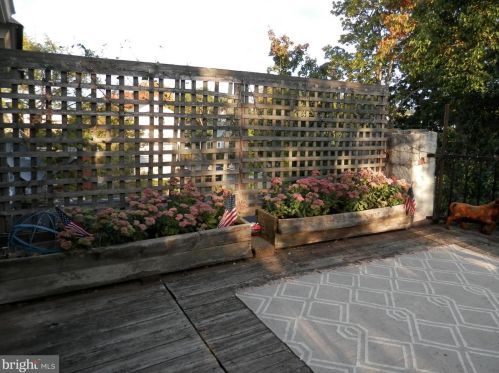 113 Walnut Ave, Ardmore PA 19003-2104 exterior