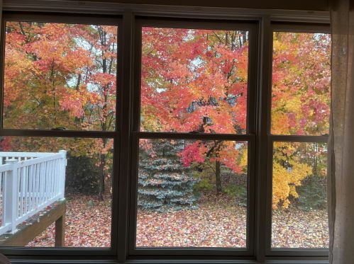 1039 Kensington St, Grand Rapids MI 49534-2179 exterior