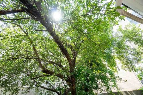 703 28 St, Union City NJ 07087-2305 exterior