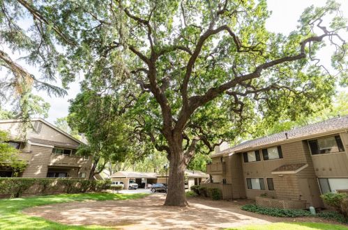 5595 Makati Cir, San Jose CA 95123-6236 exterior