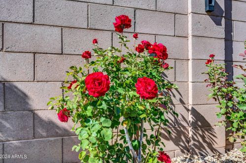 2542 Indian Wl Pl, Chandler AZ 85249-4168 exterior