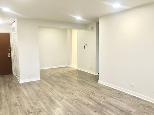 8455 Leland Ave, Chicago IL  60656-4279 exterior