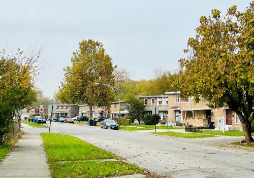 9176 Burnside Ave, Chicago, IL 60619-7321