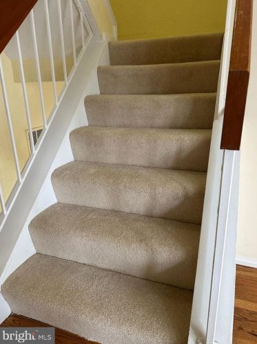 10904 Pebble Run Dr, Silver Spring MD 20902-3685 exterior