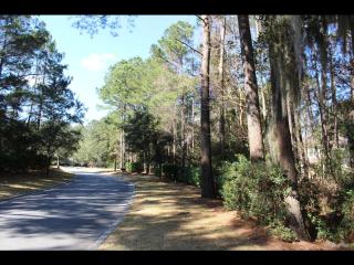 20 Anson Park Rd, Bluffton, SC 29910-8342
