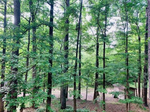 5780 Par 4 Ct, Lithonia GA 30038-1807 exterior