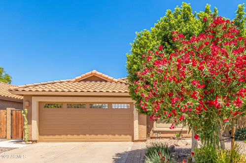 15435 37th St, Phoenix, AZ 85032-3907