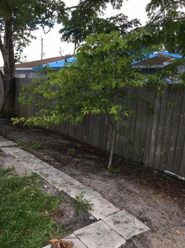 2437 Monterrey Ln, Fort Pierce FL 34953-2032 exterior