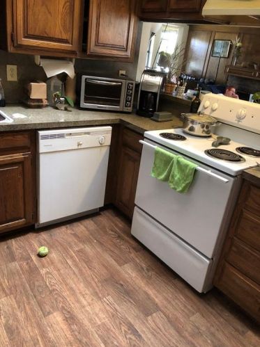 11903 Garden Terrace Dr, Dallas TX  75243-5093 exterior