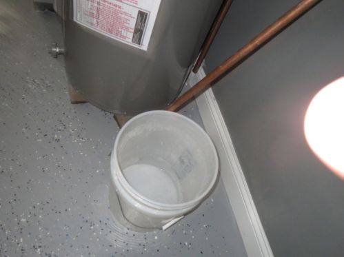 2922 48 Ct, Chicago IL 60804-3622 exterior