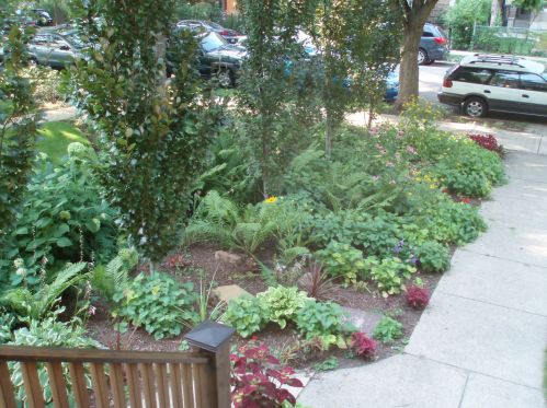 2013 Greenleaf Ave, Chicago IL 60645-3509 exterior