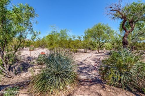 4421 Camino Gacela, Tucson AZ  85718-6807 exterior