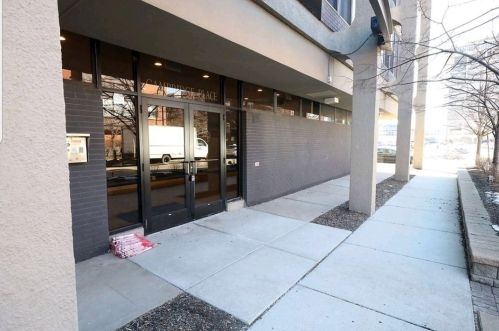 345 Eastgate Pl, Chicago, IL 60616-5504