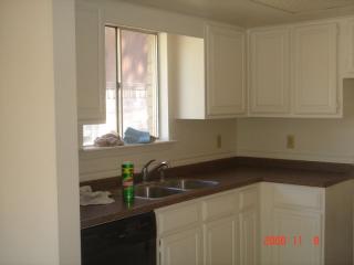 3611 Indian Forest Dr, Spring TX  77373-8001 exterior