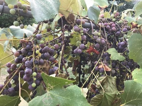 49 Brk St, Torrington CT 06790-5012 exterior