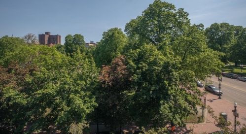 37 Newton St, Boston MA  02135 exterior