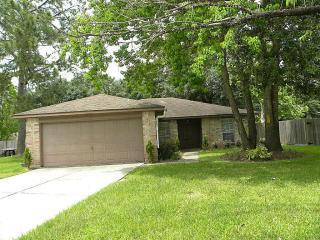 17311 Edenbridge Ct, Spring TX  77379-3824 exterior