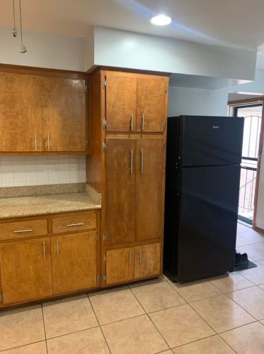 411 87 Pl, Chicago IL 60619-6905 exterior