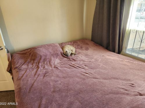 18214 2nd St, Phoenix AZ  85022-1006 exterior