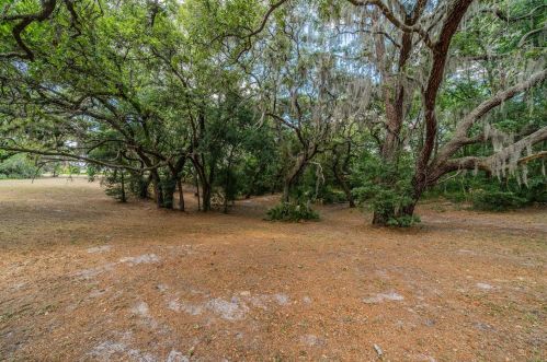 15313 Boyette Rd, Riverview FL 33569-6508 exterior