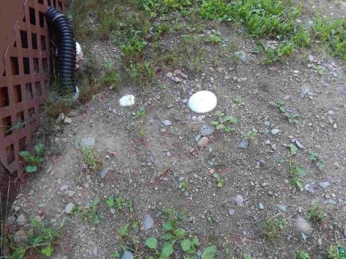 2413 Grant Mcmahan Blvd, Ely MN 55731-8119 exterior