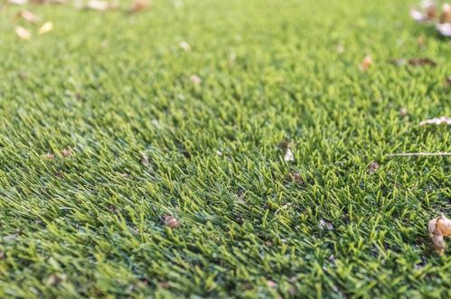 1910 Euclid Ave, Dallas TX  75206-7429 exterior