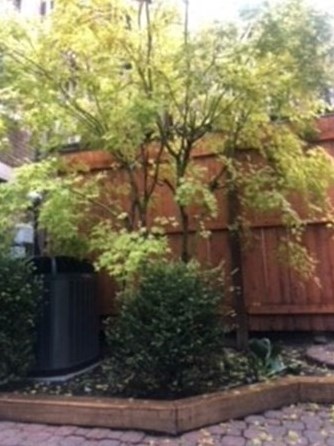 25 Springfield St, Boston MA exterior