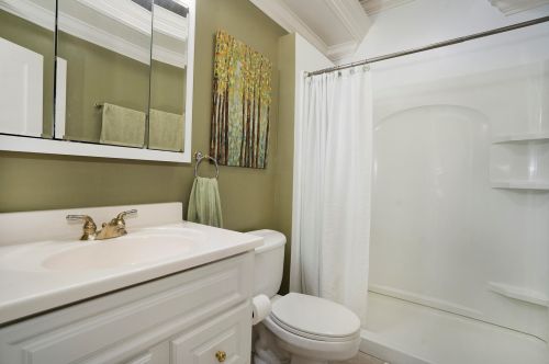 204 Cass St, Berrien Springs MI 49103-1217 exterior